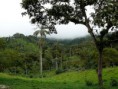 /album/fotogaleria/finca-3-jpg2/